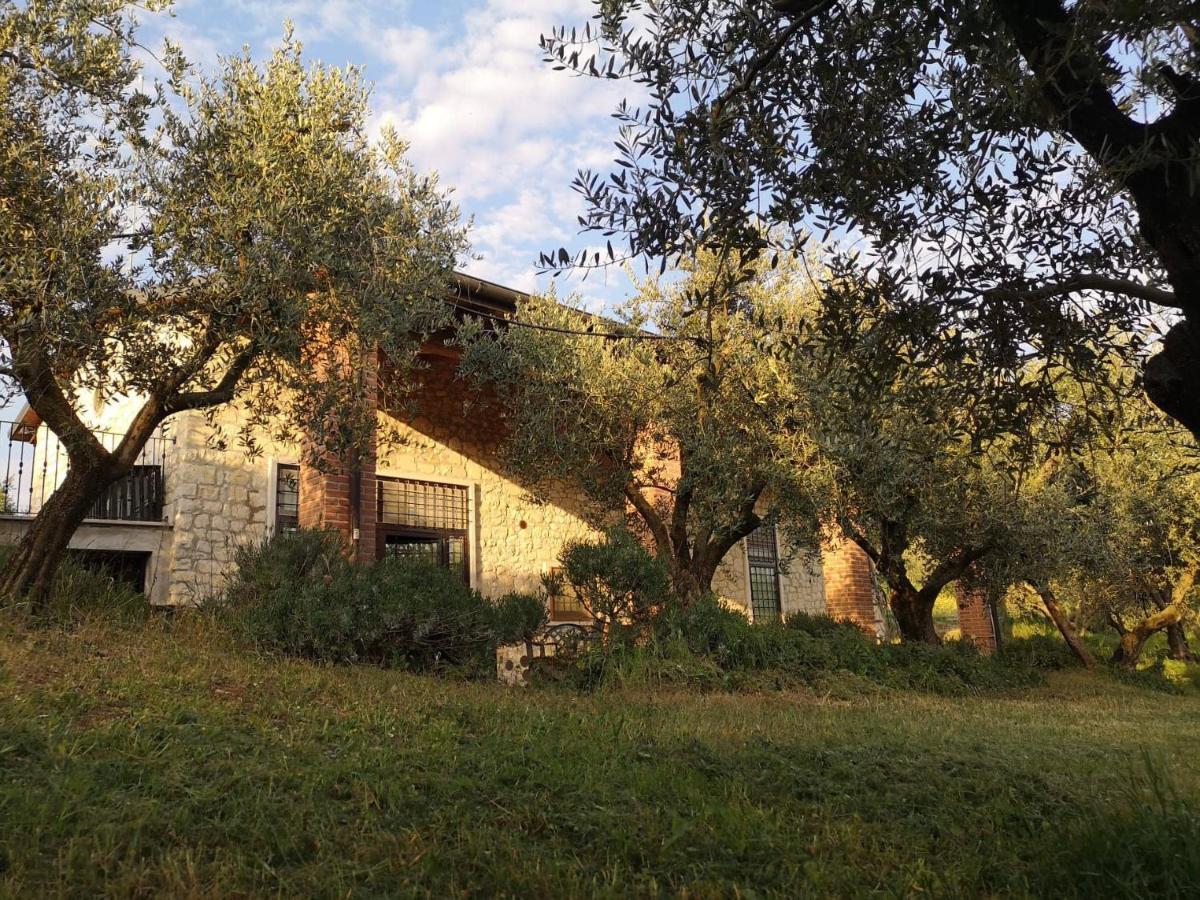 Agriturismo Bosco Magico Verona Eksteriør bilde