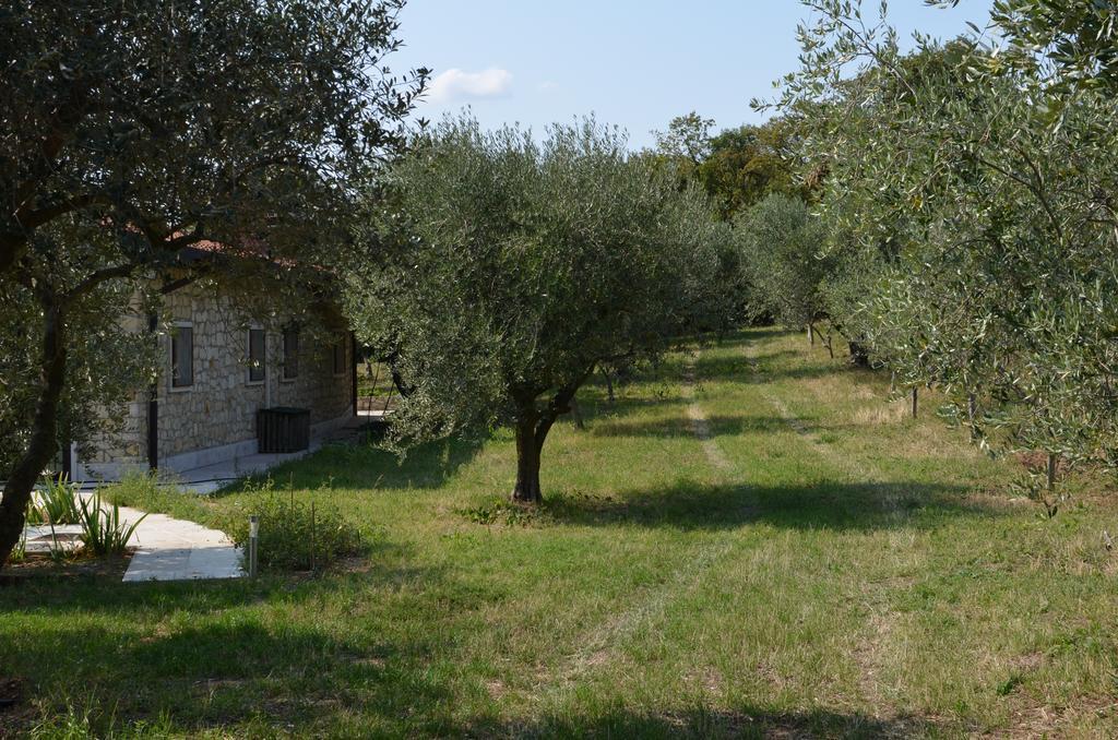 Agriturismo Bosco Magico Verona Eksteriør bilde