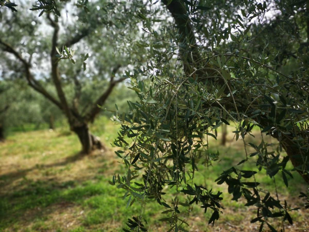 Agriturismo Bosco Magico Verona Eksteriør bilde